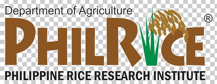 Philippines Philippine Rice Research Institute International Rice Research Institute Food PNG, Clipart, Brand, Food, Food Drinks, Industry, Logo Free PNG Download