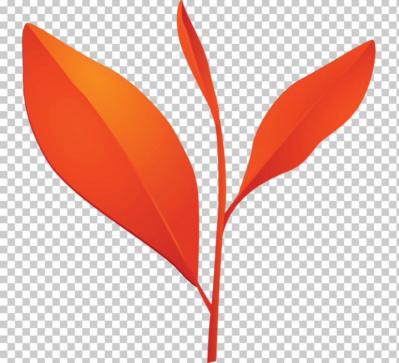Tea Leaves Leaf Spring PNG, Clipart, Flower, Heliconia, Leaf, Logo, Orange Free PNG Download