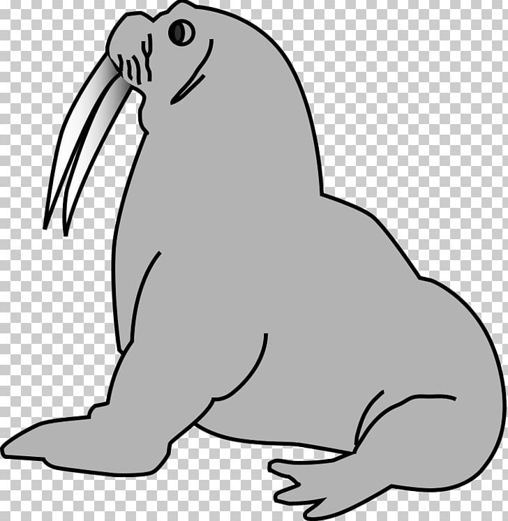 Pinniped Free PNG, Clipart, Artwork, Beak, Black, Black And White, Carnivoran Free PNG Download