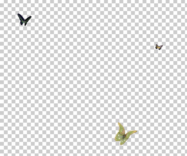 Bird Green Angle Pattern PNG, Clipart, Angle, Bird, Bubble, Bubbles, Butterfly Free PNG Download