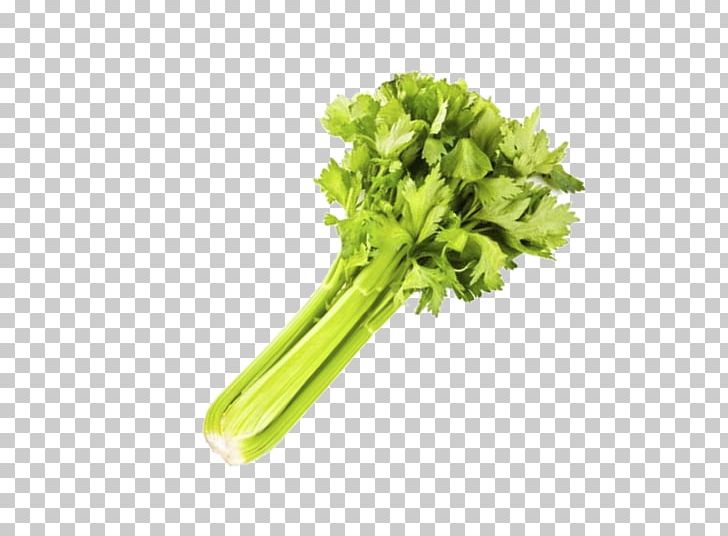 Celery Spring Greens Vegetable Rapini Lettuce PNG, Clipart, Artichoke, Carbohydrate, Celery, Chard, Chicory Free PNG Download