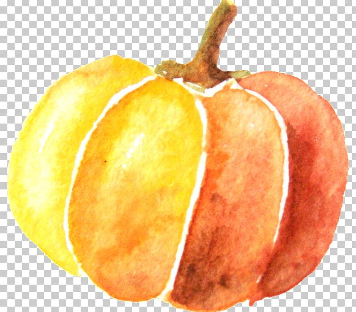 Pumpkin Watercolor Painting PNG, Clipart, Apple, Beautiful, Cartoon, Drawing, Encapsulated Postscript Free PNG Download