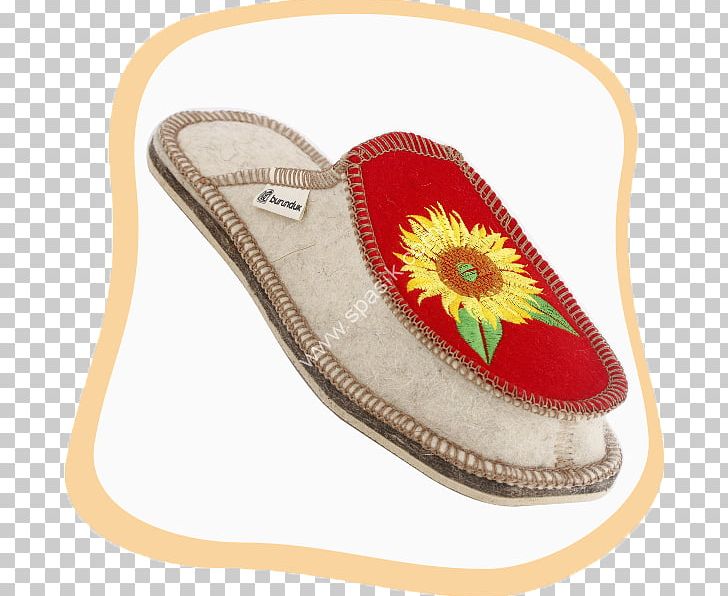 Sandal Shoe PNG, Clipart, Fashion, Footwear, Outdoor Shoe, Sandal, Shoe Free PNG Download