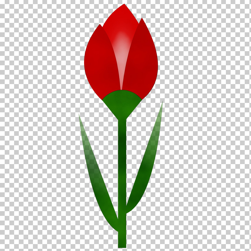 Tulip Flower Leaf Plant Grass PNG, Clipart, Bud, Coquelicot, Flower, Grass, Leaf Free PNG Download