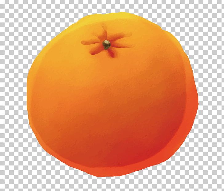 Orange Auglis PNG, Clipart, 3d Computer Graphics, 3d Creative Fruit, 3d Creative Handpainted, 3d Fruit Icon, Calabaza Free PNG Download