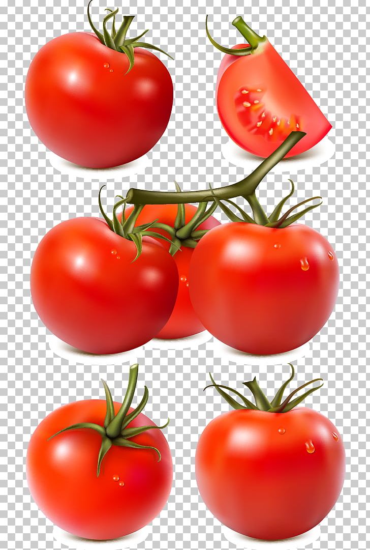 Tomato Sauce Vegetable Tomato Paste PNG, Clipart, Diet Food, Encapsulated Postscript, Food, Fruit, Garnish Free PNG Download