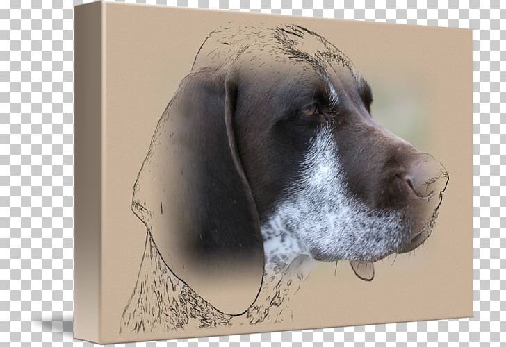 Weimaraner Dog Breed Crossbreed PNG, Clipart, Breed, Crossbreed, Dog, Dog Breed, Dog In Kind Free PNG Download