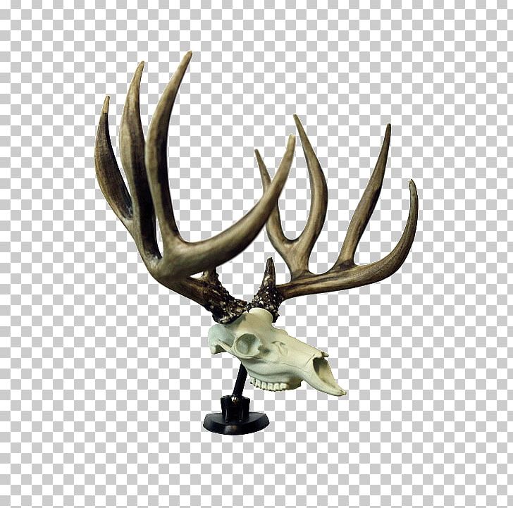 Antler Reindeer Symbol PNG, Clipart, Animals, Antler, Com, Culture, Deer Free PNG Download