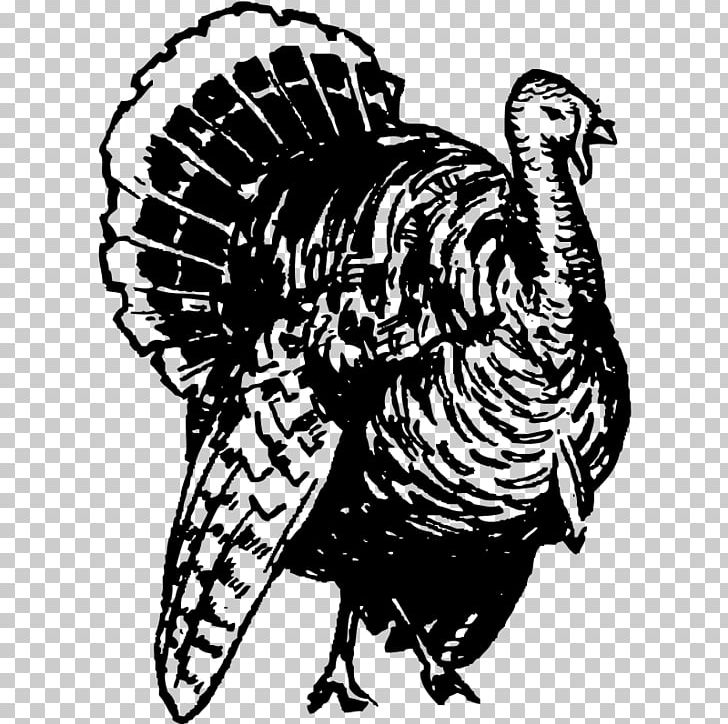 Black Turkey Broad Breasted White Turkey Black And White PNG, Clipart, Beak, Bird, Black Turkey, Broad Breasted White Turkey, Domesticated Turkey Free PNG Download