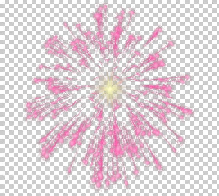 Fireworks Free PNG, Clipart, Animation, Art, Download, Fireworks, Flower Free PNG Download