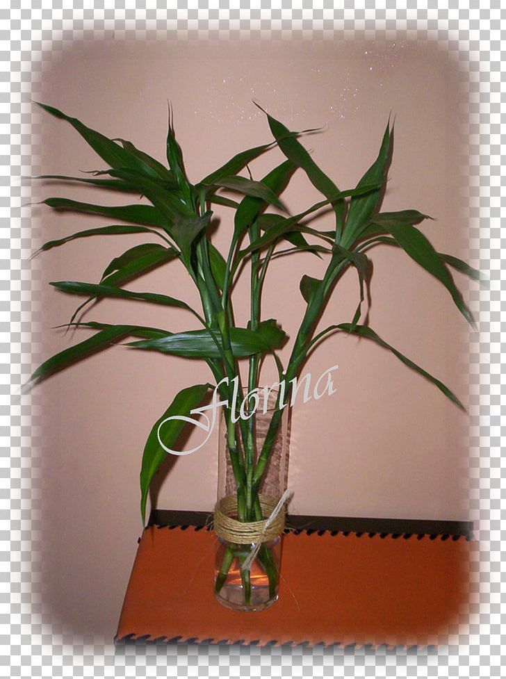 Flowerpot Plant Stem Houseplant PNG, Clipart, Bambu, Flowerpot, Houseplant, Others, Plant Free PNG Download