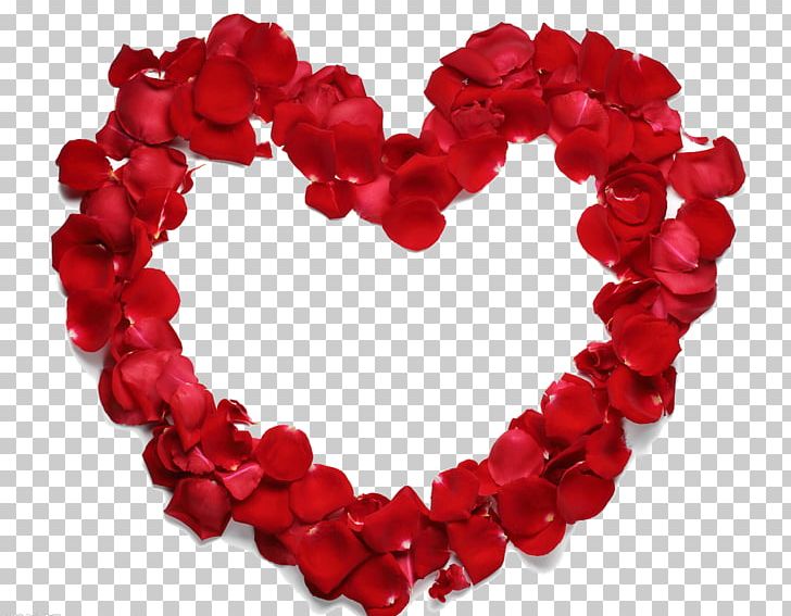 Heart Beach Rose Petal Flower PNG, Clipart, Beach Rose, Border Frame, Decoration, Flower, Frame Free PNG Download