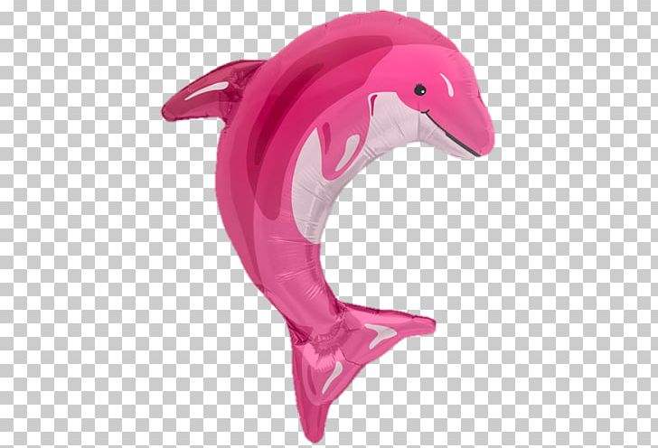 Toy Balloon Party Birthday Amazon River Dolphin PNG, Clipart, Amazon River Dolphin, Animal Figure, Baby Shower, Balloon, Birthday Free PNG Download