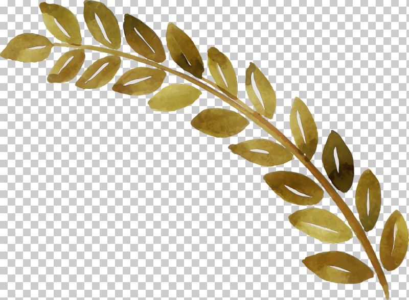 Plant Stem Twig Leaf Commodity Grasses PNG, Clipart, Biology, Commodity, Grasses, Leaf, Paint Free PNG Download