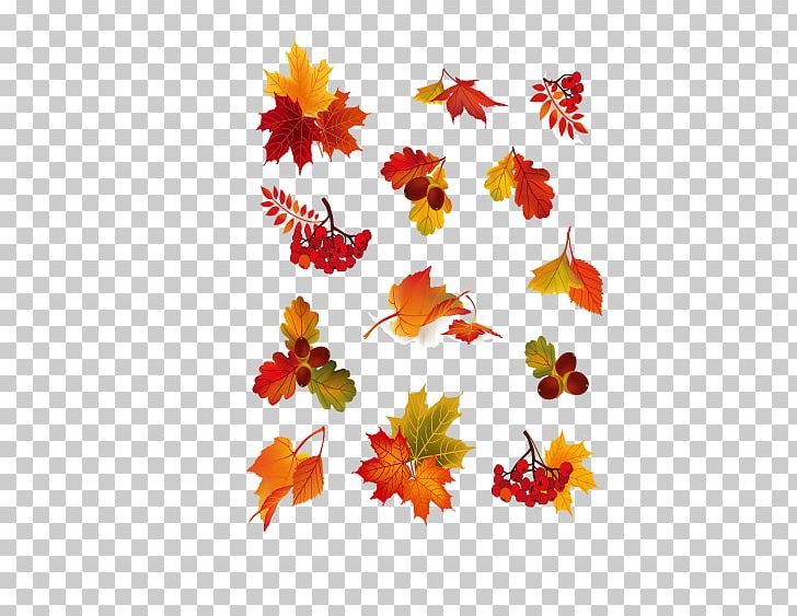 Autumn Leaf Color Rowan Berry PNG, Clipart, All Kinds, Autumn, Autumn Leaf, Berry, Floral Design Free PNG Download