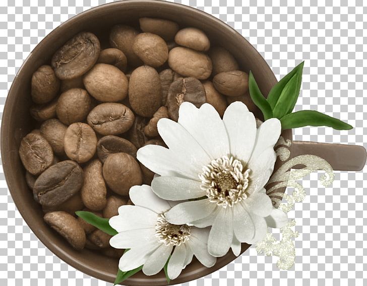 Coffee Tea Cafe PNG, Clipart, Bean, Beans, Cafe, Clip Art, Coffee Free PNG Download