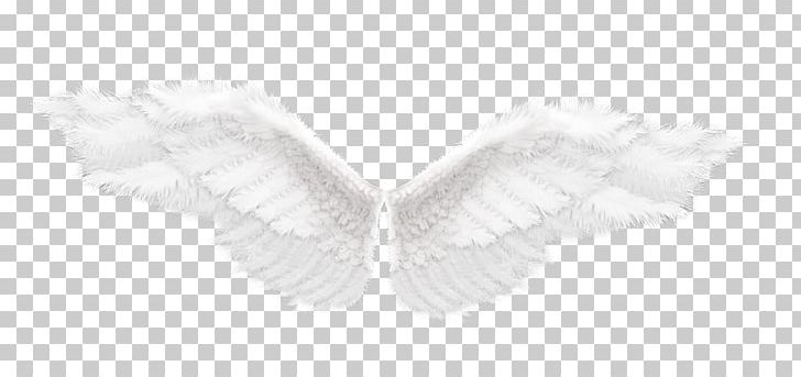 Angle Feather PNG, Clipart, Angel, Angel Wings, Angle, Black And White, Butterfly Free PNG Download