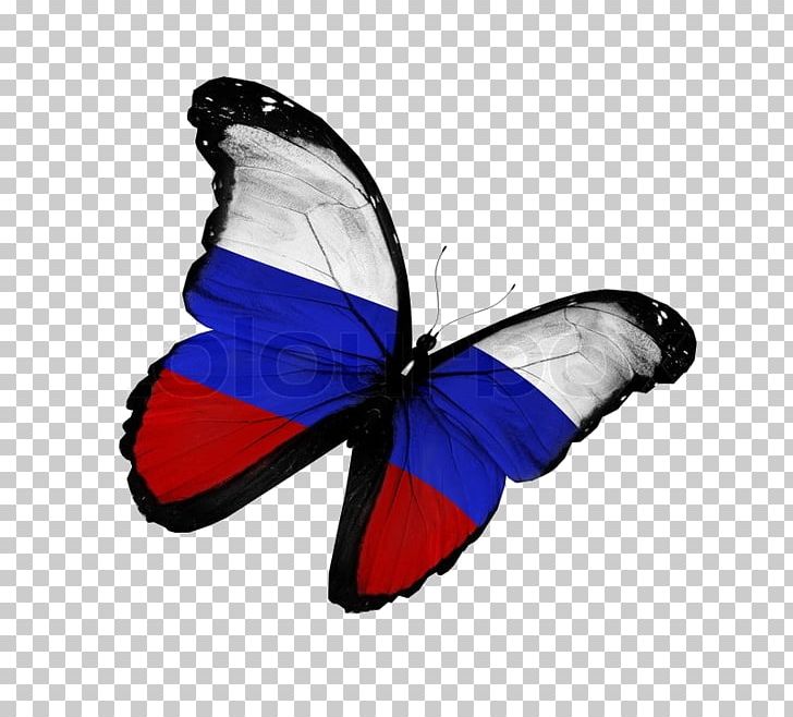 Flag Of South Korea National Flag Stock Photography PNG, Clipart, Blue, Brush Footed Butterfly, Butterfly, Desktop Wallpaper, Flag Free PNG Download