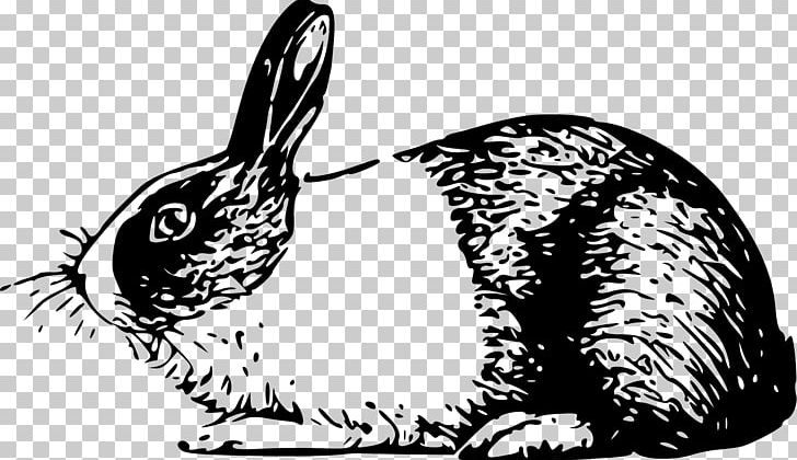 Holland Lop Angora Rabbit White Rabbit Easter Bunny PNG, Clipart, Animals, Beak, Black And White, Carnivoran, Cat Like Mammal Free PNG Download