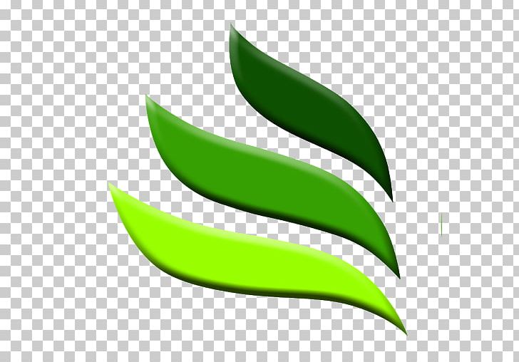 Leaf PNG, Clipart, Ceacuteu, Leaf, Plant Free PNG Download