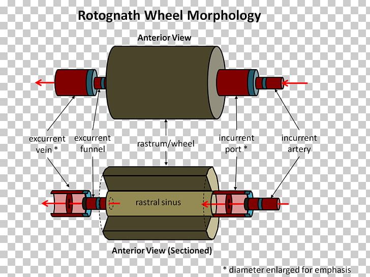 Technology Line Angle PNG, Clipart, Angle, Blood Flow, Cylinder, Diagram, Electronics Free PNG Download