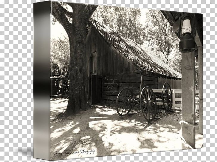 Tree PNG, Clipart, Barn, Black And White, History, Home, House Free PNG Download