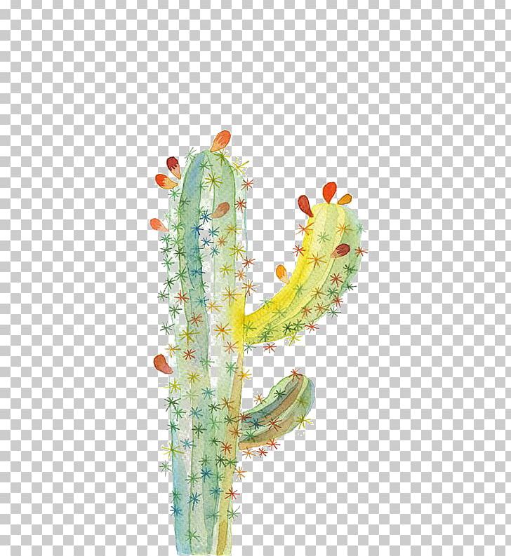 UGallery Cactaceae Drawing Watercolor Painting PNG, Clipart, Cactus, Cactus Cartoon, Cactus Flower, Cactus Watercolor, Cartoon Free PNG Download