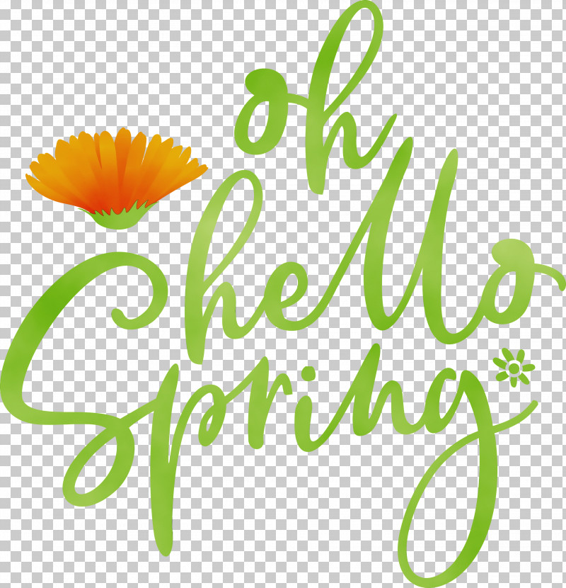 Floral Design PNG, Clipart, Cut Flowers, Daisy Family, Floral Design, Flower, Hello Spring Free PNG Download