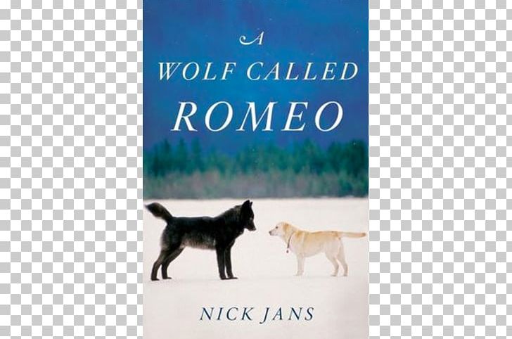 A Wolf Called Romeo Labrador Retriever Canidae Black Wolf PNG, Clipart, Advertising, Animal, Black Wolf, Book, Canidae Free PNG Download
