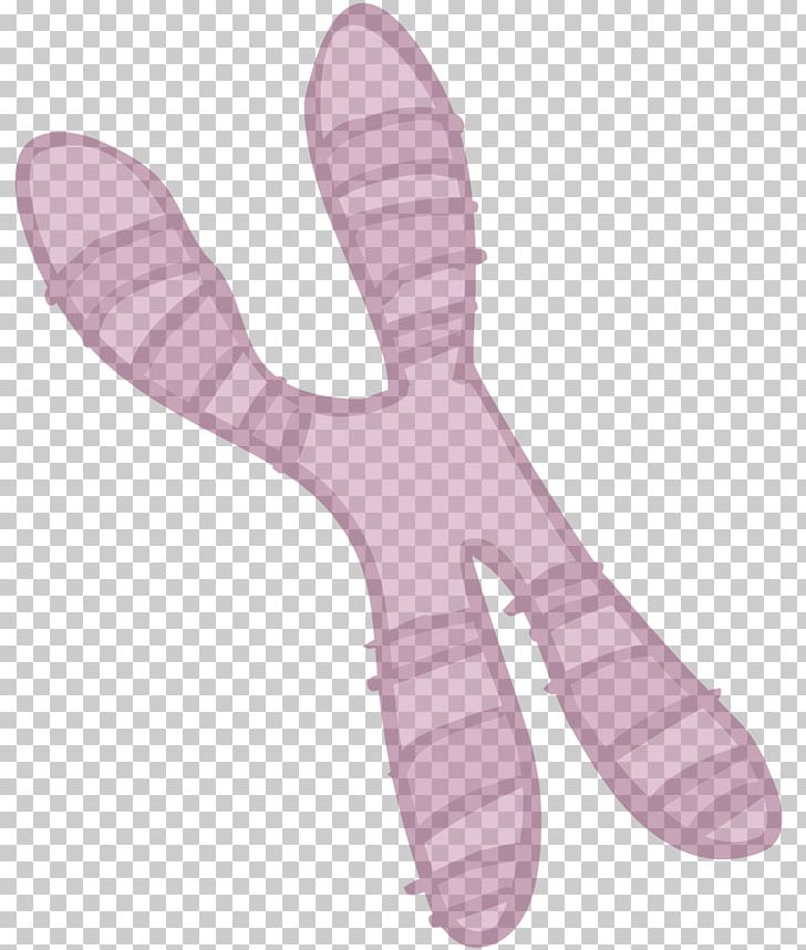 Drawing Chromosome Species Coloring Book PNG, Clipart, Animaatio, Child, Chromosome, Coloring Book, Drawing Free PNG Download