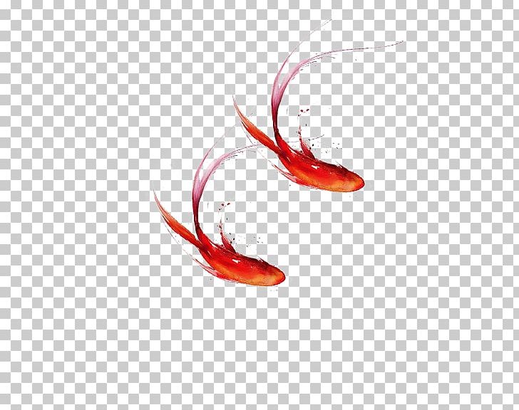 Fish PNG, Clipart, Animals, Closeup, Computer Wallpaper, Designer, Encapsulated Postscript Free PNG Download