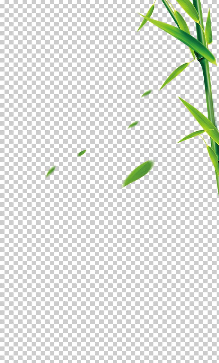 Bamboo Grass Bamboe PNG, Clipart, Angle, Area, Bam, Bamboe, Bamboo Border Free PNG Download