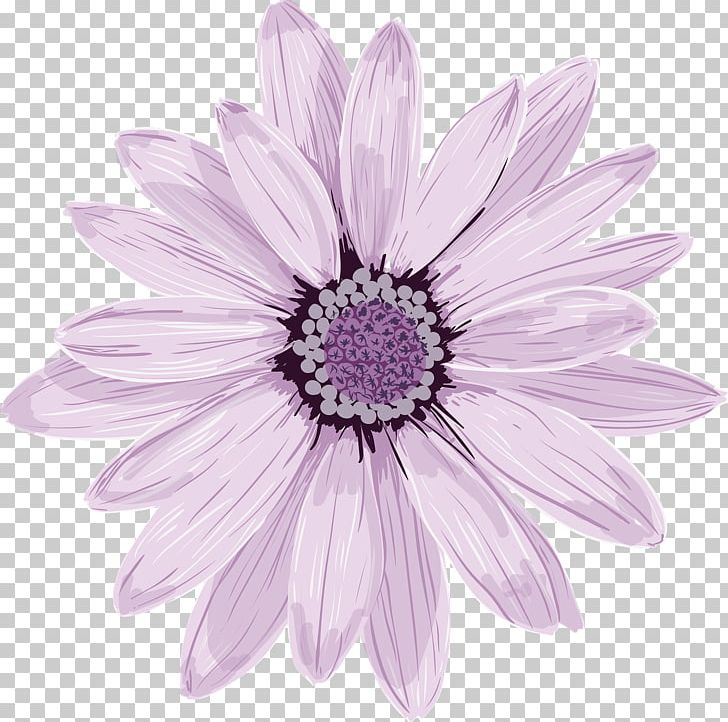 Flower Stock Photography PNG, Clipart, Chrysanths, Cut Flowers, Daisy Family, Floral Design, Flower Free PNG Download
