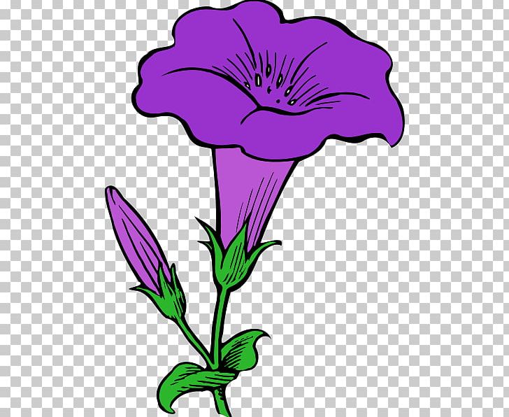 Morning Glory Drawing PNG, Clipart, Art, Artwork, Cut Flowers, Document, Drawing Free PNG Download