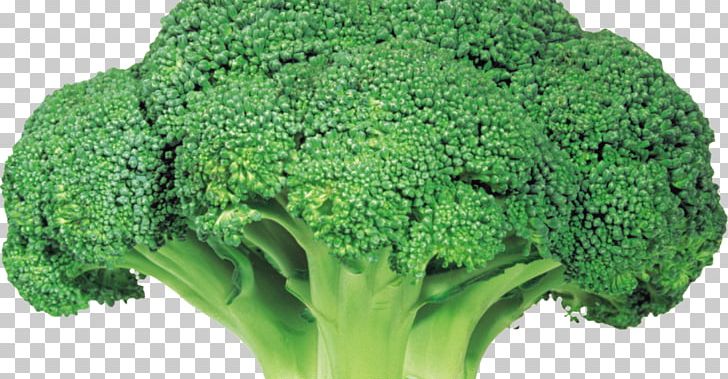 Broccoli Vegetable Rapini Food PNG, Clipart, Beetroot, Bilgiler, Brassica Oleracea, Broccoli, Broccolini Free PNG Download