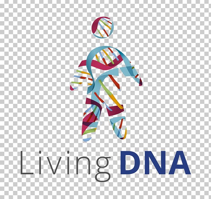 Genealogical DNA Test Genetic Testing Genealogy Family Tree DNA PNG, Clipart, 23andme, Ancestor, Ancestrycom Inc, Area, Biology Free PNG Download