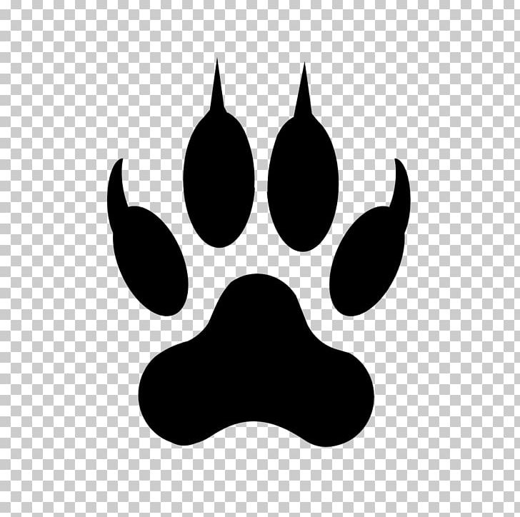 Lion Footprint Liger Paw PNG, Clipart, Animals, Big Cat, Black, Black And White, Clip Art Free PNG Download