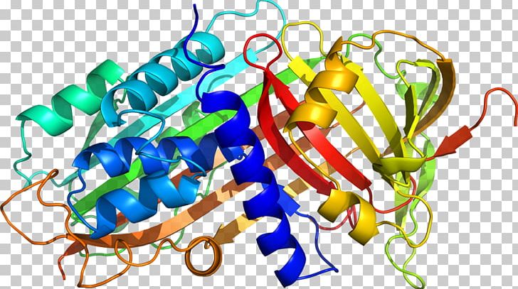 Alpha-1-proteinase Inhibitor Alpha 1-antitrypsin Deficiency Neutrophil Elastase Emphysema PNG, Clipart, Alpha 1antitrypsin Deficiency, Alpha1proteinase Inhibitor, Collagen, Deficiency, Disease Free PNG Download
