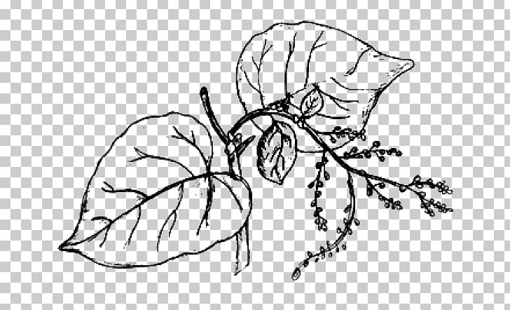 Drawing Painting PNG, Clipart, Art, Artwork, Black And White, Botany, Branch Free PNG Download
