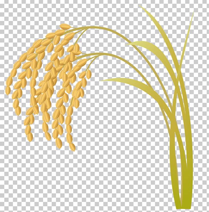 Rice Illustration Graphics Silhouette PNG, Clipart, Cereal, Cereal Germ, Commodity, Computer Icons, Crop Free PNG Download