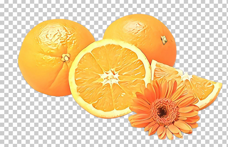 Orange PNG, Clipart, Bitter Orange, Citrus, Fruit, Grapefruit, Mandarin Orange Free PNG Download
