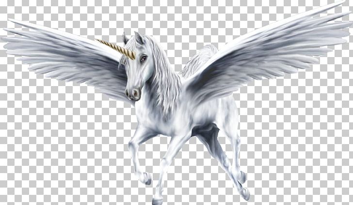 Flying Horses Pegasus Winged Unicorn PNG, Clipart, Animals, Beak, Bird, Equestrian, Fauna Free PNG Download