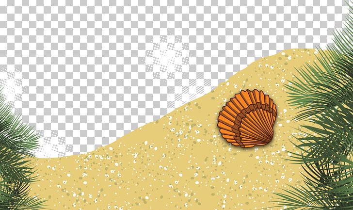 Beach Summer Euclidean PNG, Clipart, Adobe Illustrator, Beach, Beach Ball, Beaches, Beach Party Free PNG Download