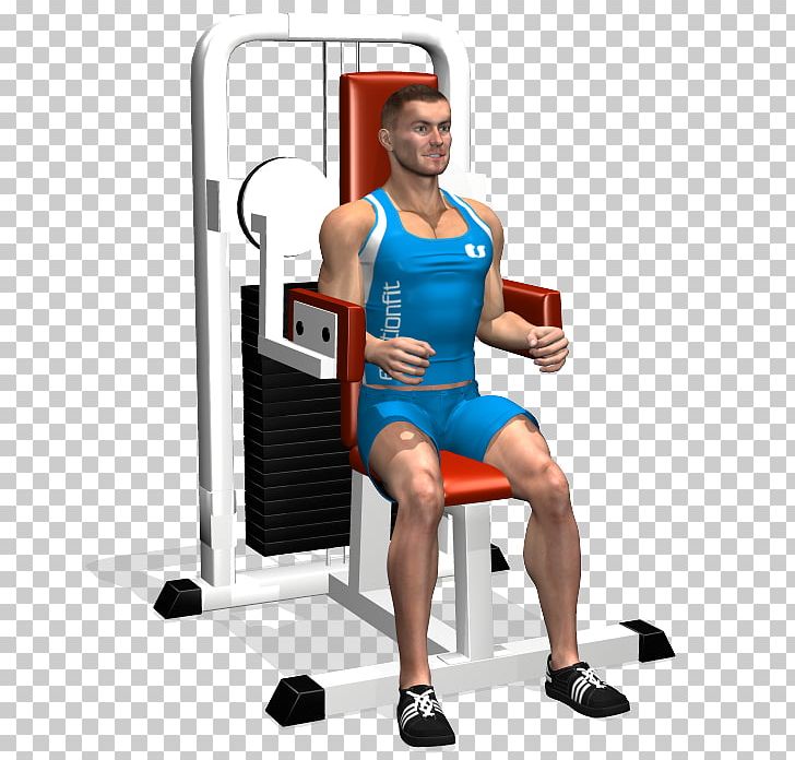 Shoulder Deltoid Muscle Weightlifting Machine Weight Training PNG, Clipart, Abdomen, Arm, Data, Data Set, Deltoid Muscle Free PNG Download