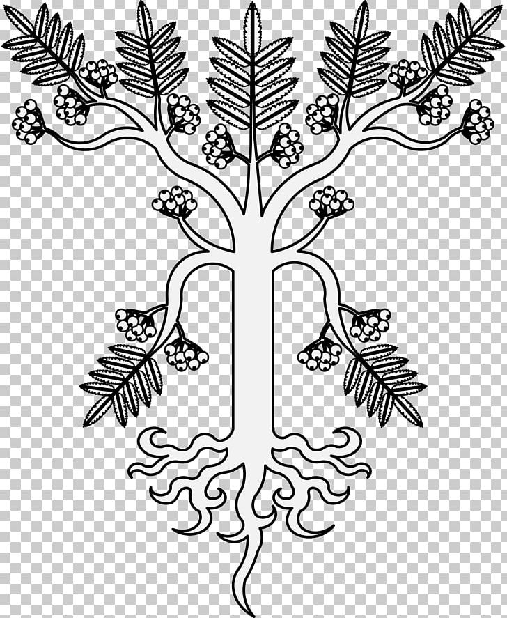 Twig Leaf Rowan Plant Stem Art PNG, Clipart, Art, Black And White, Branch, Drawing, Flora Free PNG Download