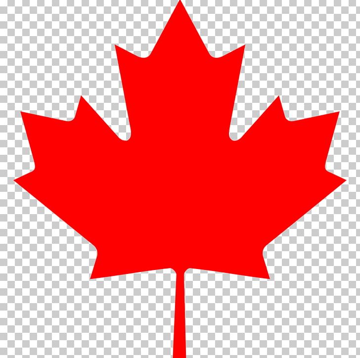 150th Anniversary Of Canada Maple Leaf Flag Of Canada PNG, Clipart, 150th Anniversary Of Canada, Canada, Cryptocurrency Wallet, Flag Of Canada, Flower Free PNG Download