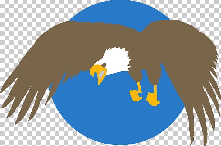 Bald Eagle Bird PNG, Clipart, Accipitriformes, Animals, Bald Eagle, Beak, Bird Free PNG Download