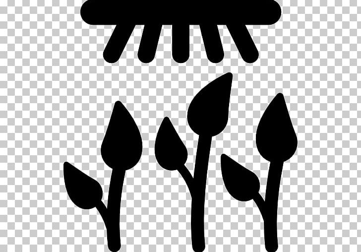 Computer Icons Grow Light Gardening PNG, Clipart, Black, Black And White, Branch, Computer Icons, Download Free PNG Download