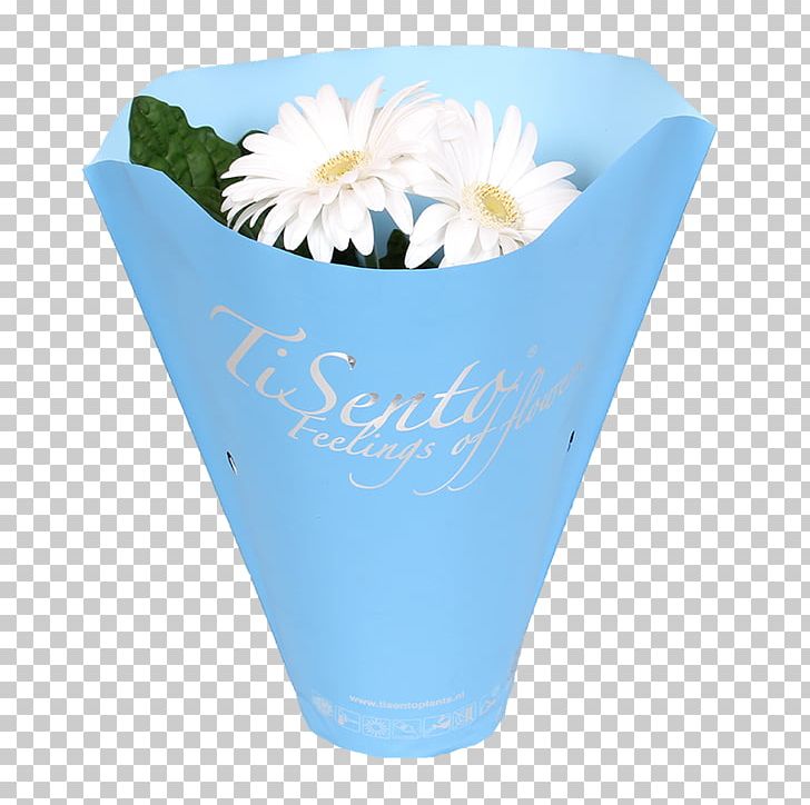 Cut Flowers Petal Transvaal Daisy Plants PNG, Clipart,  Free PNG Download