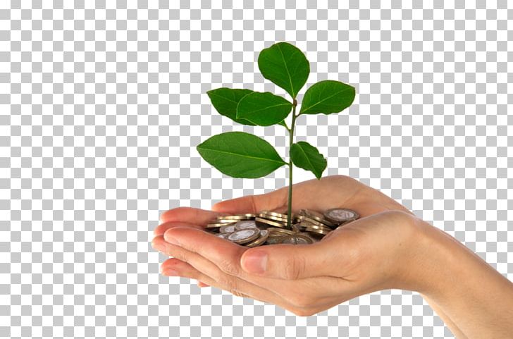 Savings Account Pension Investment Loan PNG, Clipart, Bank, Budget, Certificate Of Deposit, Cost, Debt Free PNG Download